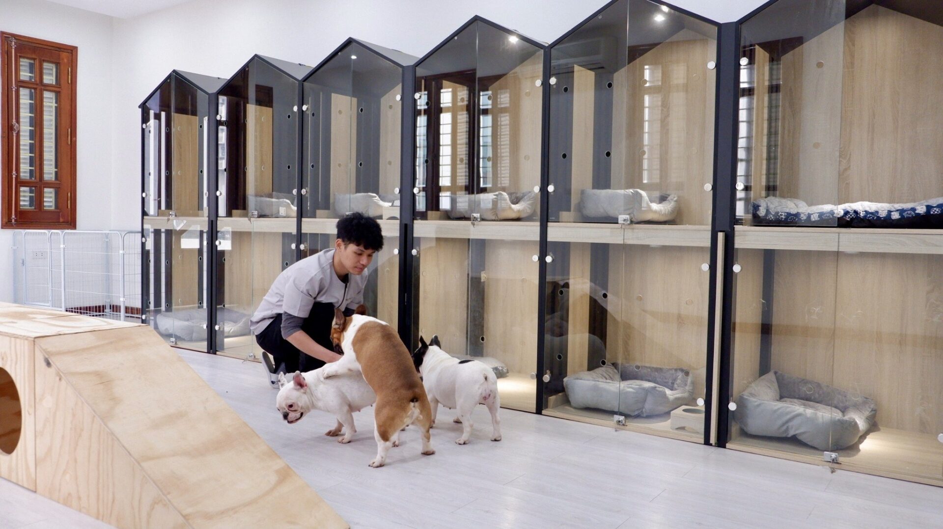 Tiềm năng phát triển thị trường thú cưng.