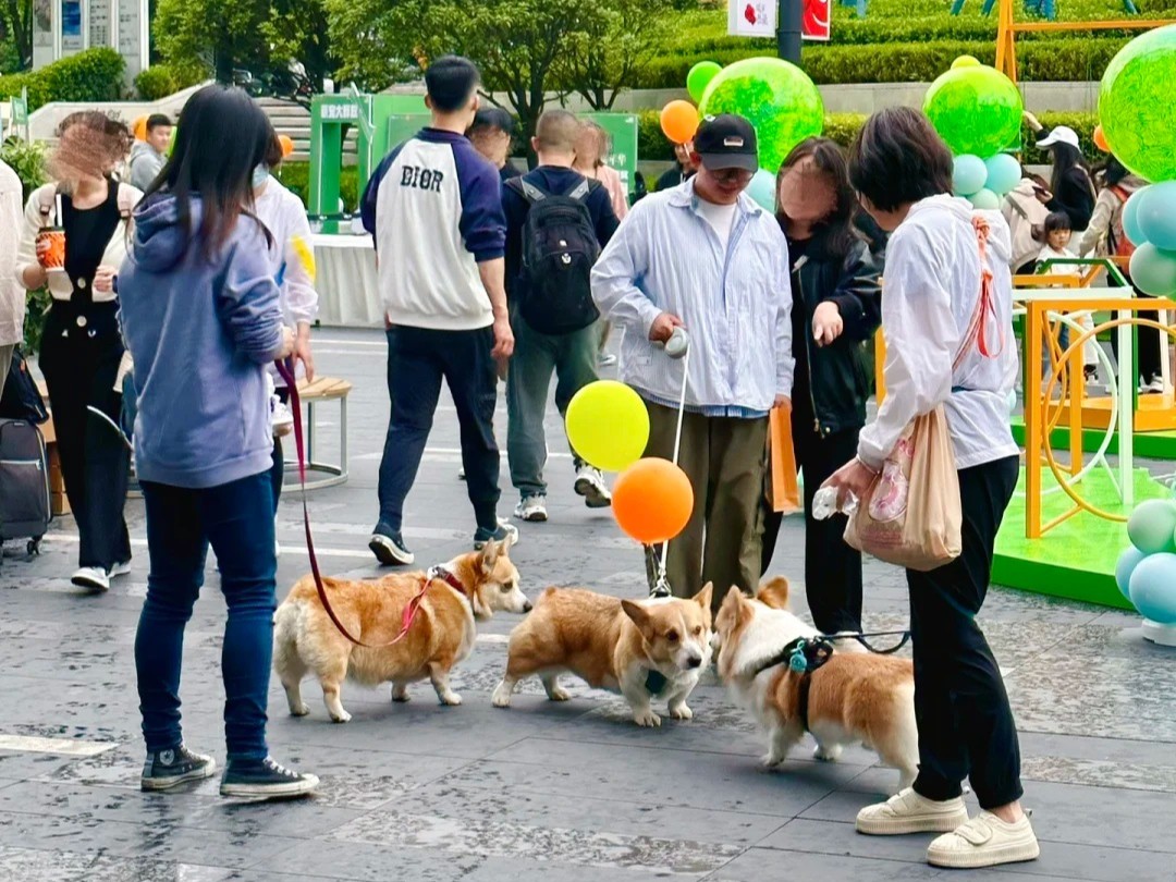 Sự bùng nổ về không gian cho thú cưng đồng thời mở đường cho nhiều mô hình kinh doanh mới