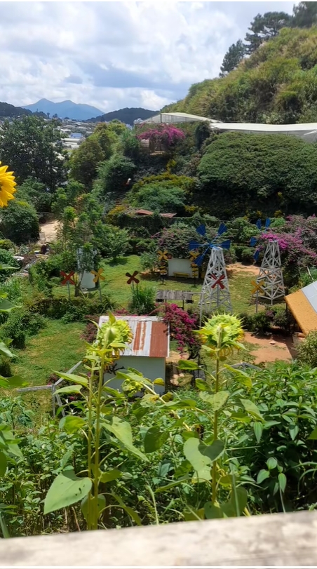 Dù gặp khó khăn, chủ Thung Lũng Gâu vẫn giữ thái độ khiêm nhường, cầu thị