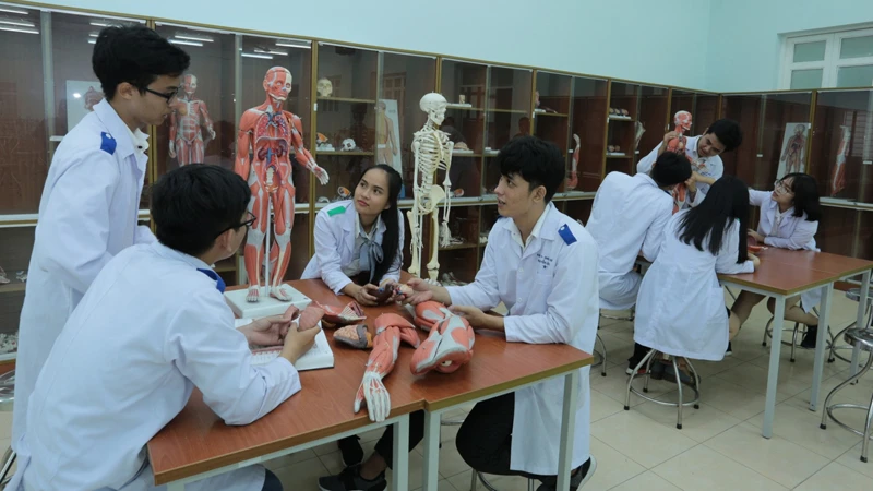 Ba trường trực thuộc mới với định hướng phát triển rõ ràng.