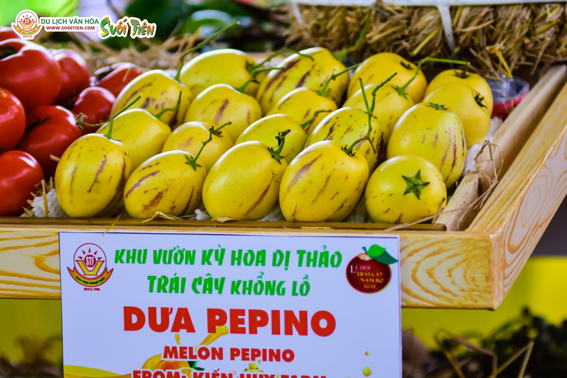 Nơi hội tụ tinh hoa nông sản Việt