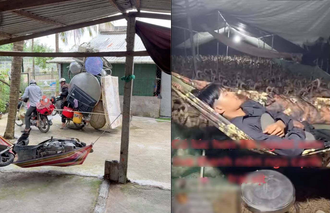 chiếc võng gần như luôn có mặt, khiêm nhường và gần gũi như chính con người nơi này.