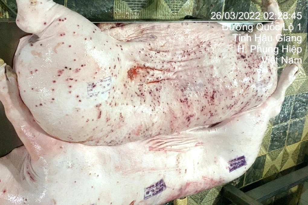  C.P. Việt Nam bị tố bán thịt lợn bệnh: Bộ Công an chính thức vào cuộc