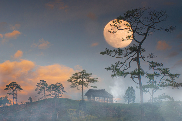  Những đêm mùa hạ