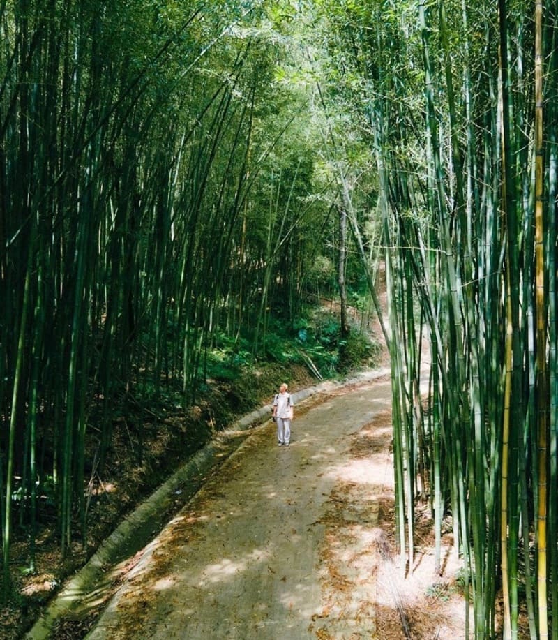 Trải nghiệm thiên nhiên với nhiều cung bậc cảm xúc