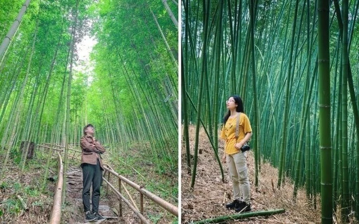 Gợi nhắc vẻ đẹp điện ảnh, thu hút thế hệ trẻ