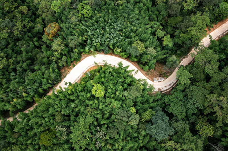 Một không gian điện ảnh giữa đại ngàn.