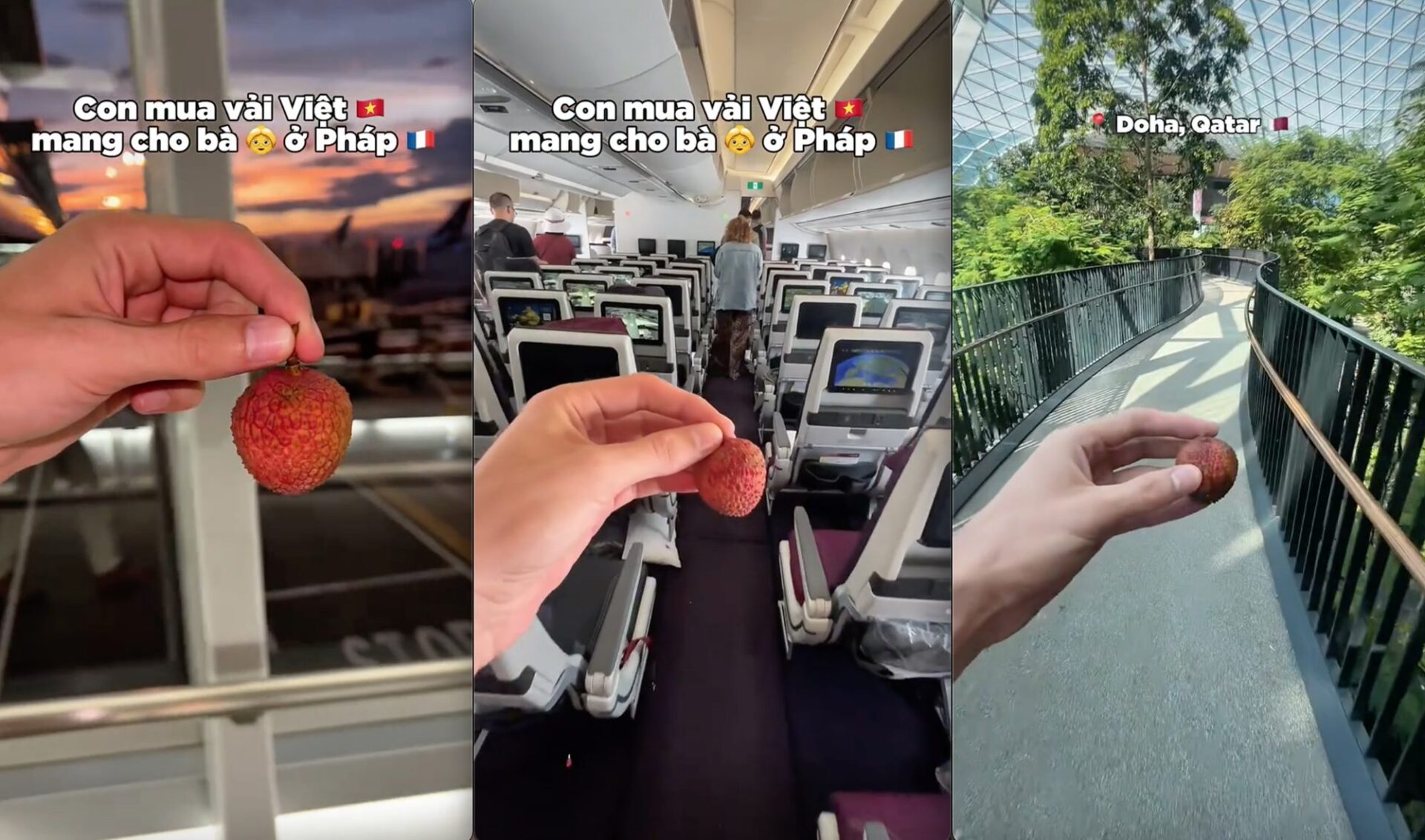 Phản ứng trái chiều nhưng đầy cảm xúc từ cộng đồng mạng