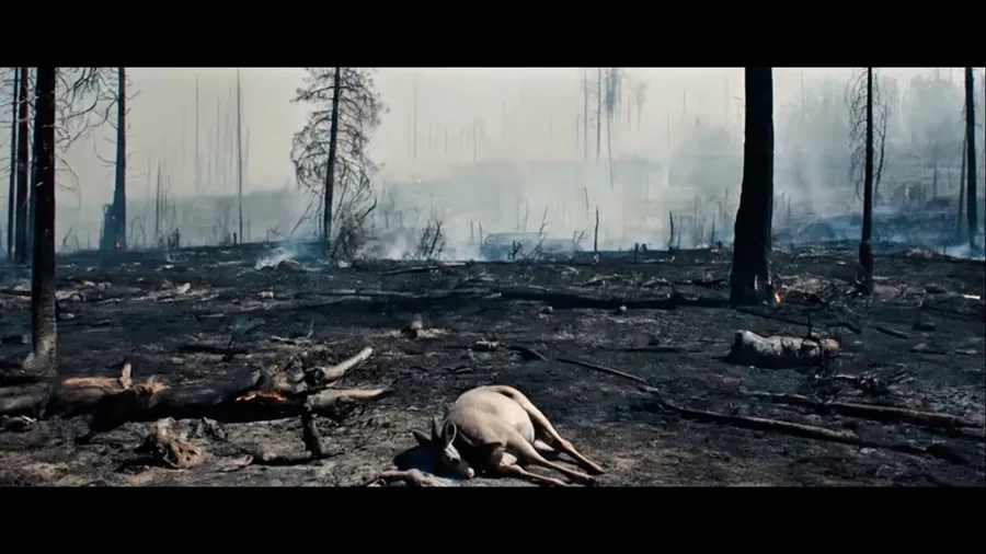 Định dạng phát hành linh hoạt, tiếp cận số đông.