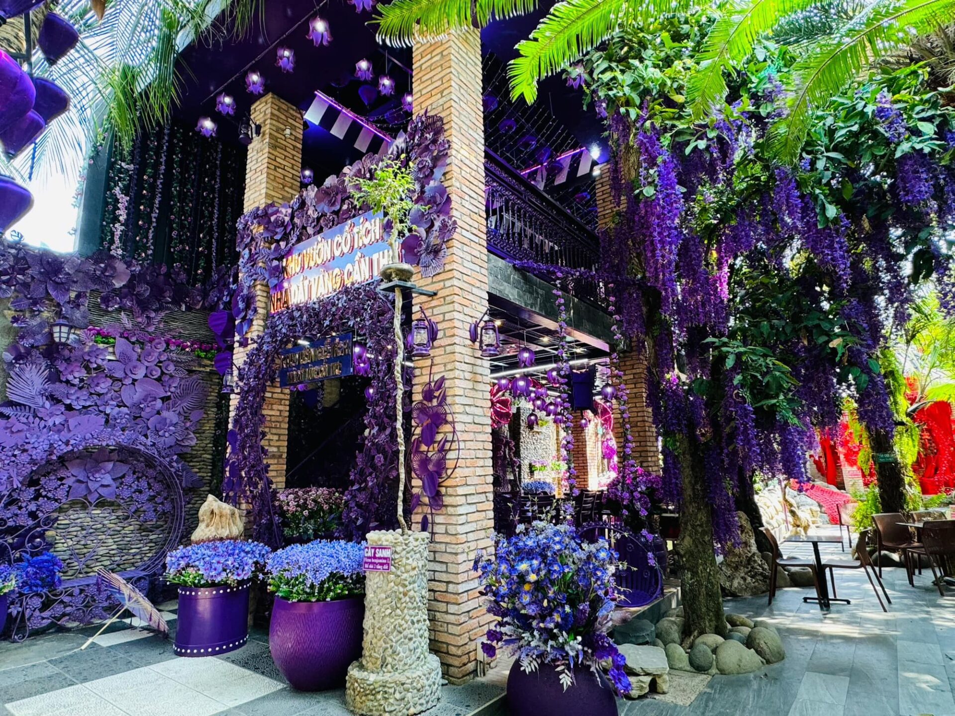 Khu vực này nhanh chóng trở thành tâm điểm check-in của du khách trẻ tuổi.