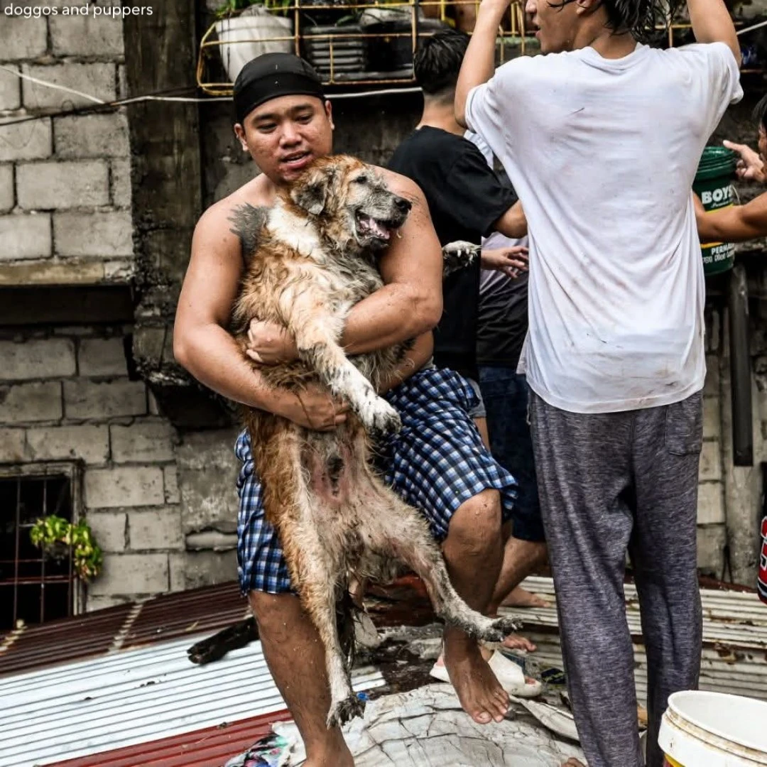 Cộng đồng mạng rưng rưng vì một sinh linh nhỏ