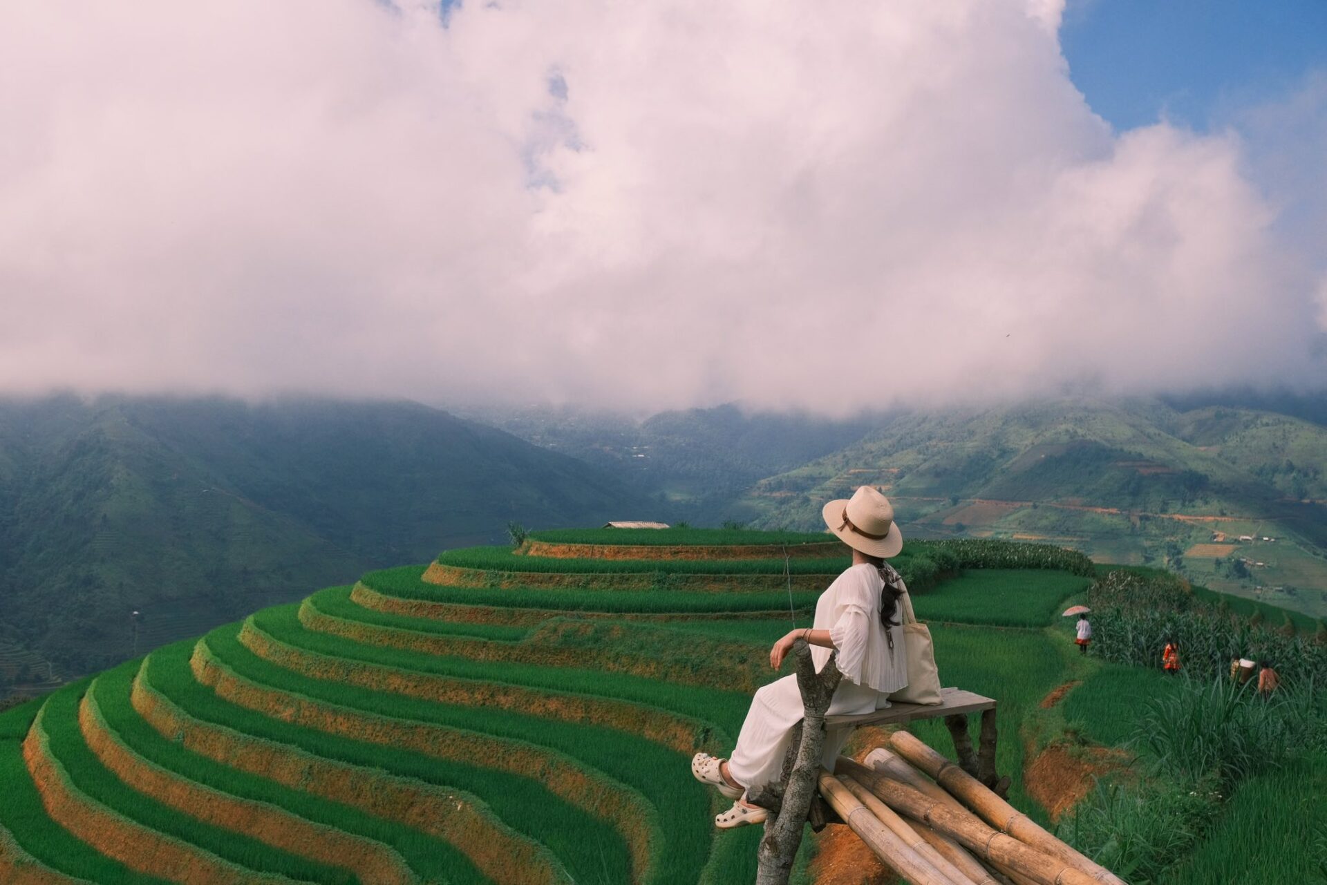  Xím Vàng còn là biểu tượng cho vẻ đẹp bền vững của thiên nhiên Tây Bắc 