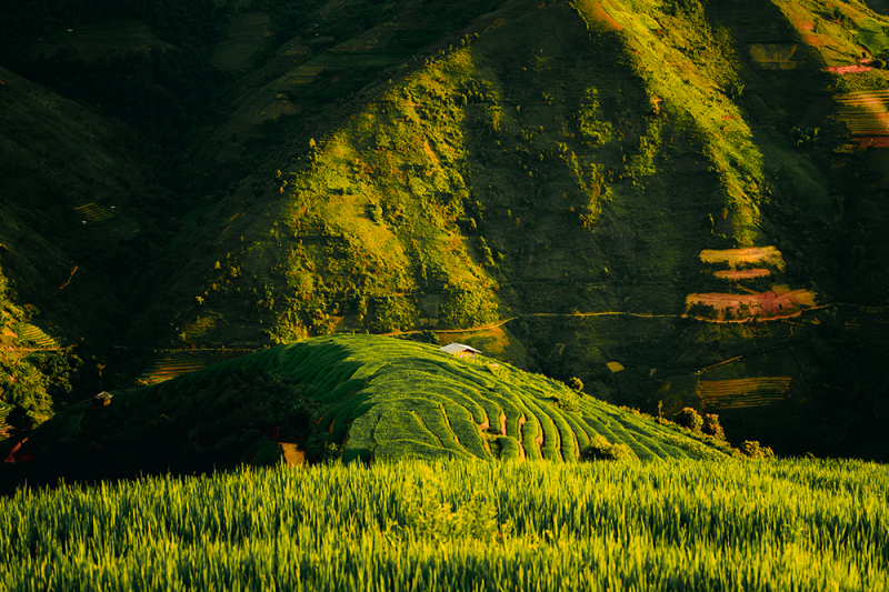 Tọa lạc ở độ cao khoảng 1.600 mét so với mực nước biển, xã Xím Vàng thuộc huyện Bắc Yên, tỉnh Sơn La