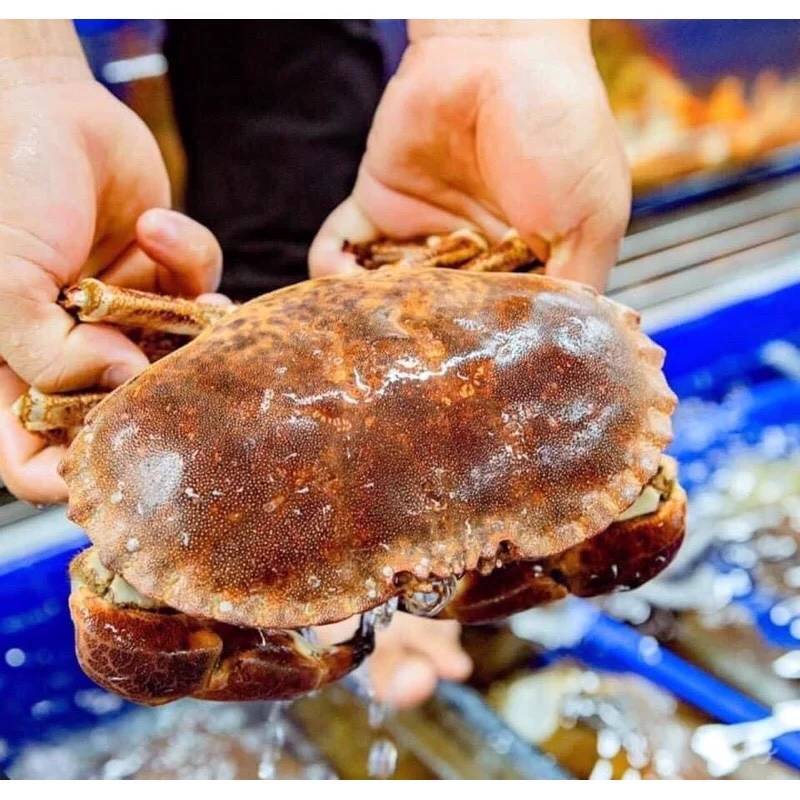 Từ món lạ mạng xã hội đến bữa cơm gia đình.