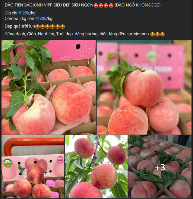 Loại quả ngoại nhập “chiếm sóng” mùa hè