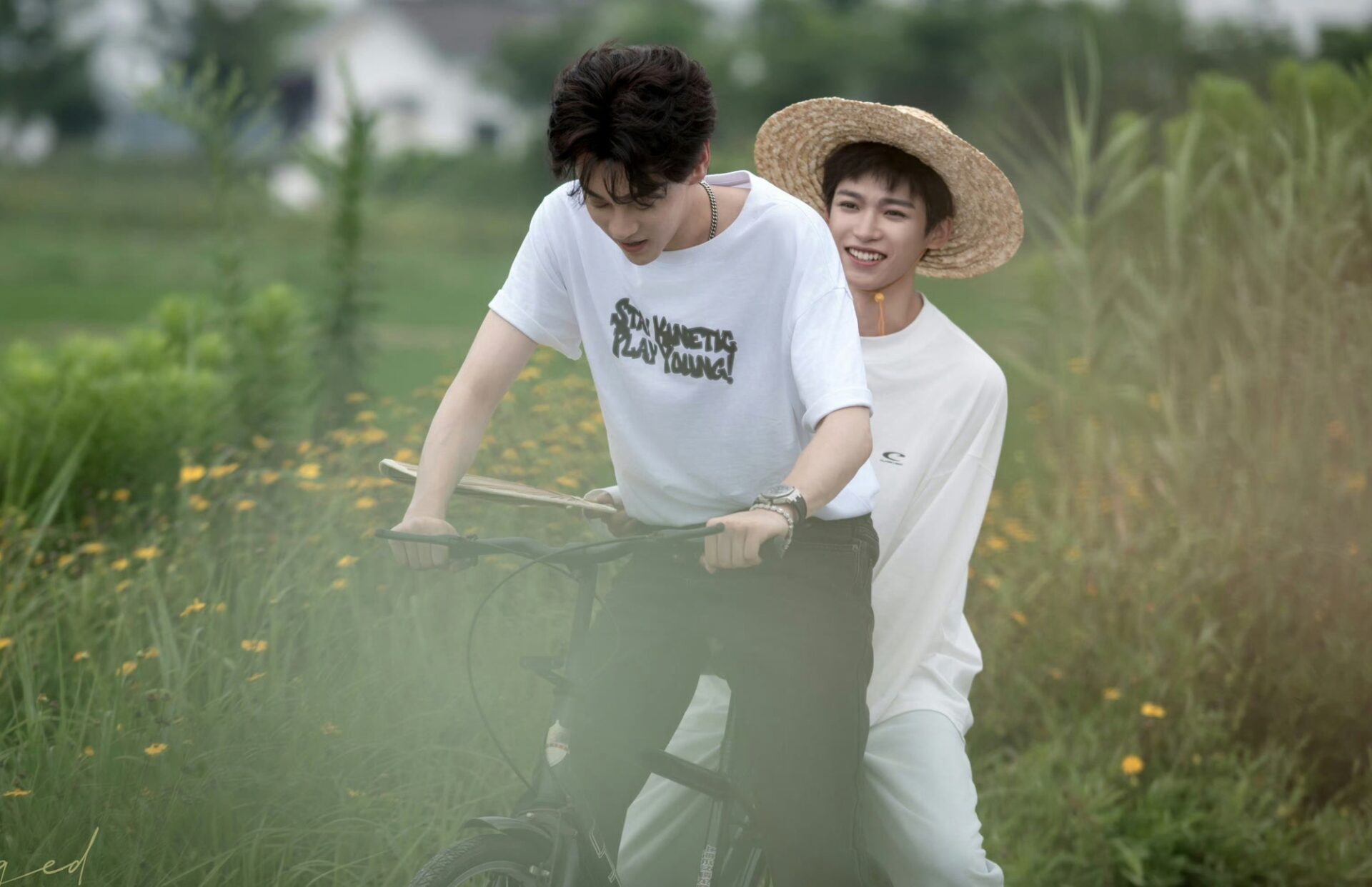 Hiệu ứng truyền thông: nổi bật nhưng ngắn hạn