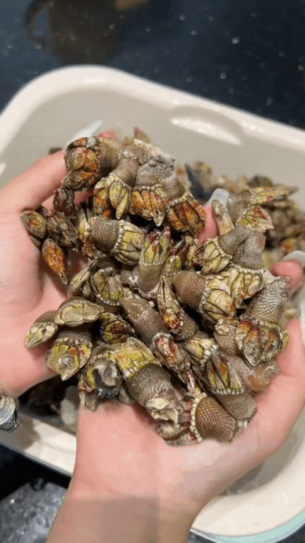 Thị trường chưa chính thức nhưng nhu cầu đang tăng mạnh