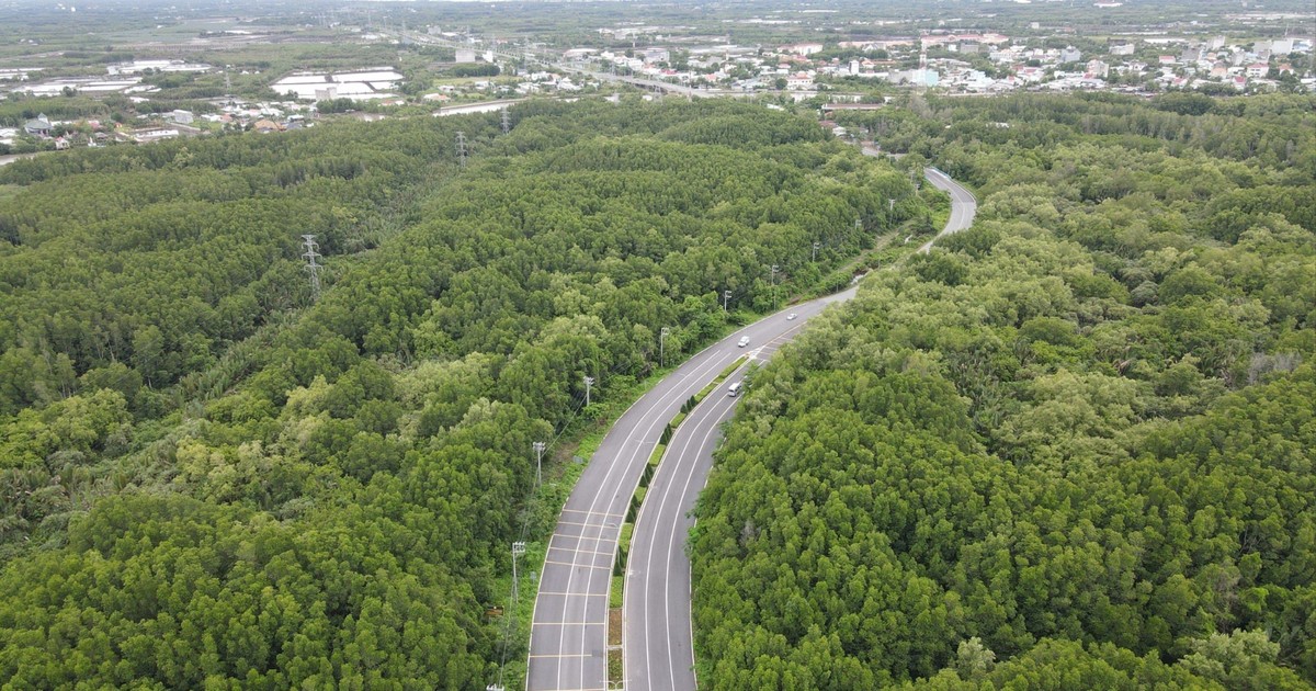  Hai khu vực ở TP.HCM dự kiến chỉ cho phép đăng ký xe mới là xe điện