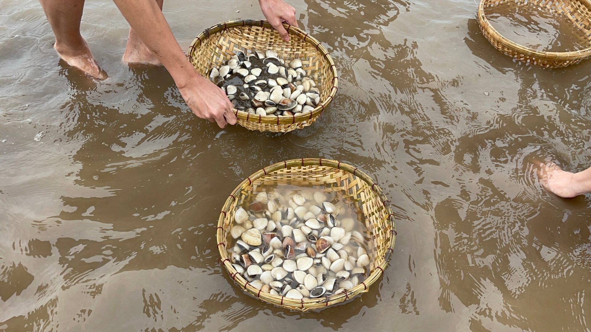 Hòa mình vào đời sống miền sông nước.