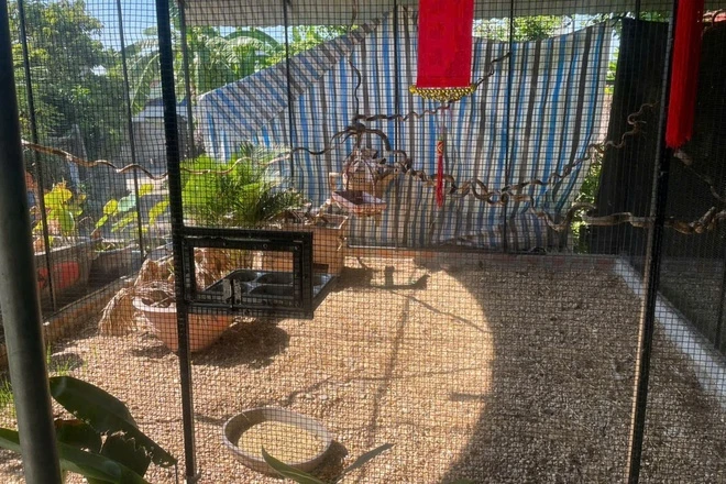 Khu vực chuồng anh Thành nuôi gà lôi trắng.