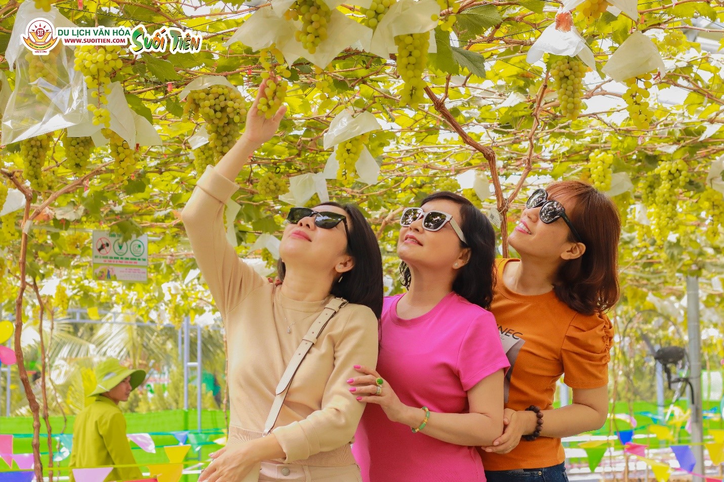 Suối Tiên Farm ra đời như một mô hình du lịch nông nghiệp xanh, đưa du khách đến gần hơn với thiên nhiên và nông sản sạch VietGAP