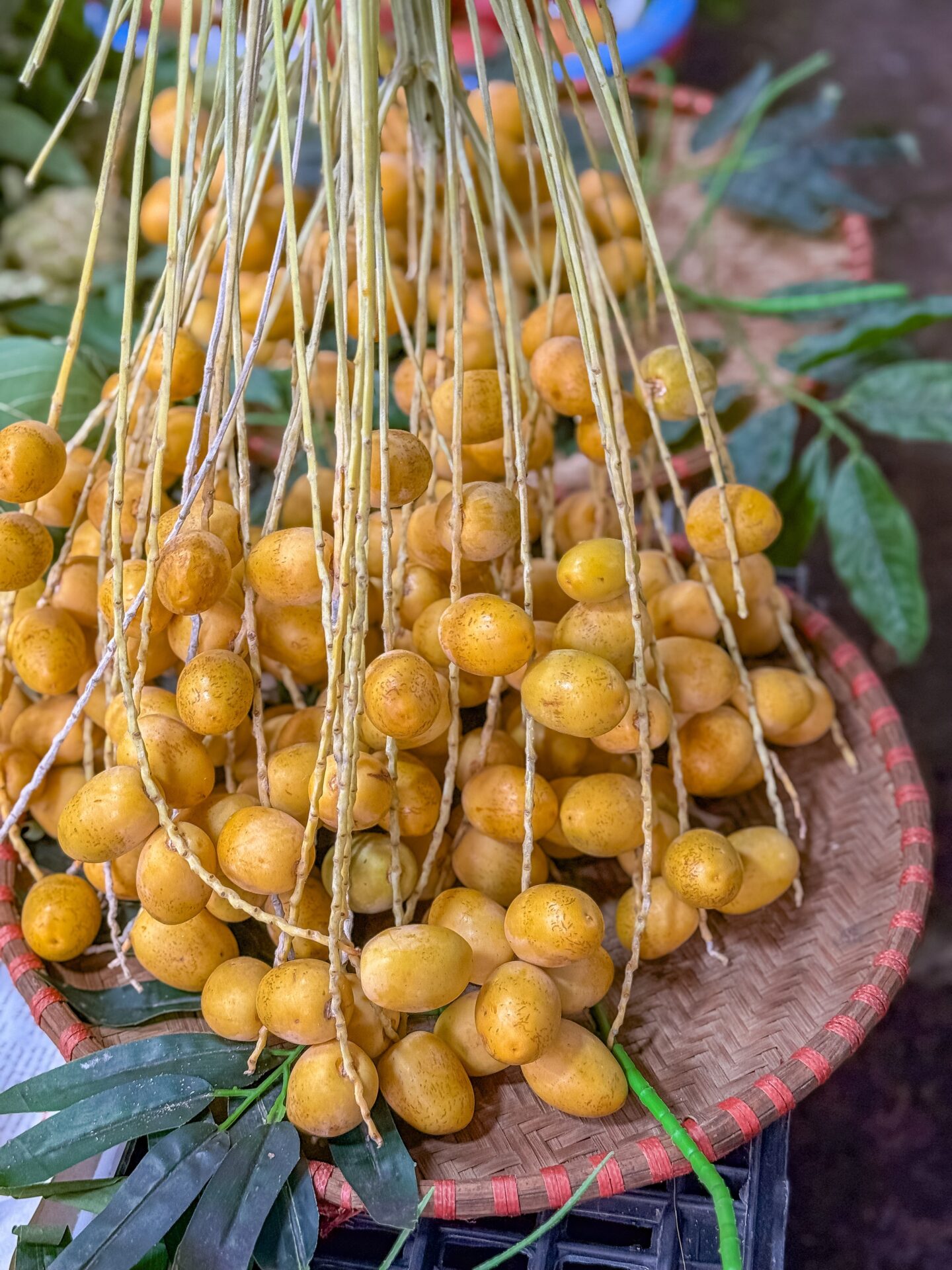 Quả dân dã bỗng thành “ngôi sao MXH”