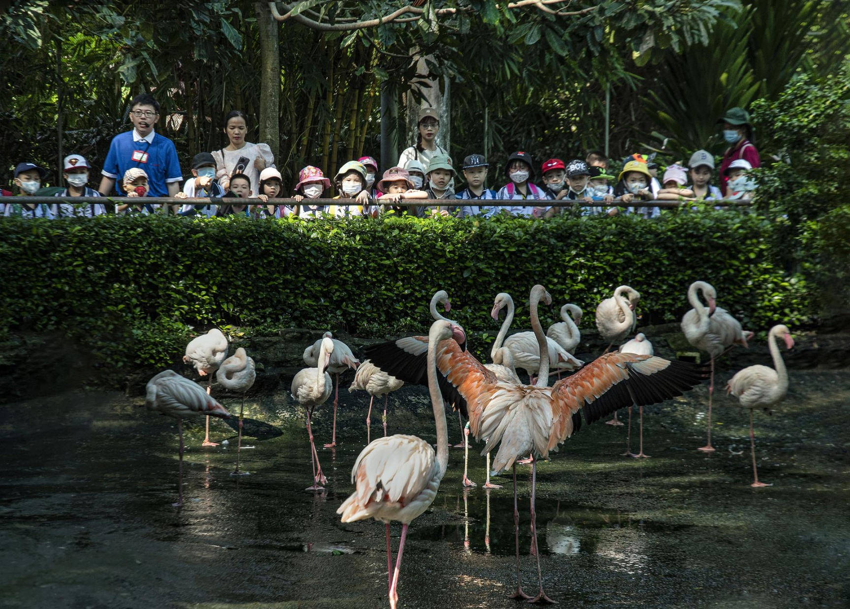  Thảo Cầm Viên miễn phí vé tham quan dịp Quốc khánh 2/9