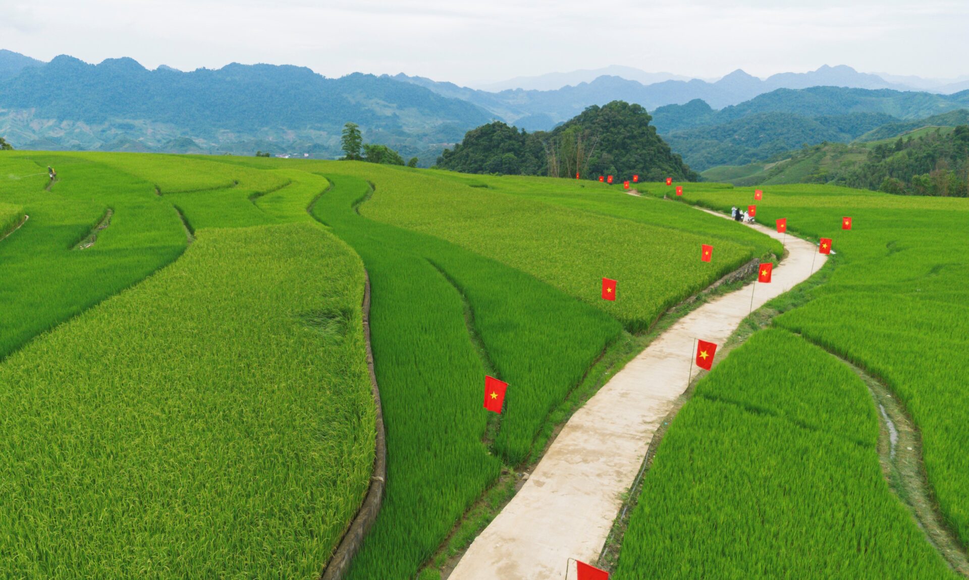  Check-in giữa đồng lúa Suối Lìn rực rỡ sắc cờ đỏ sao vàng