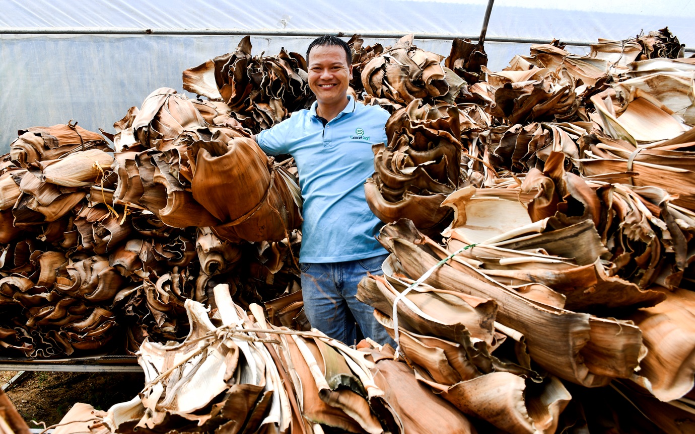  Biến phế phẩm mo cau ở Quảng Ngãi thành hàng xuất khẩu