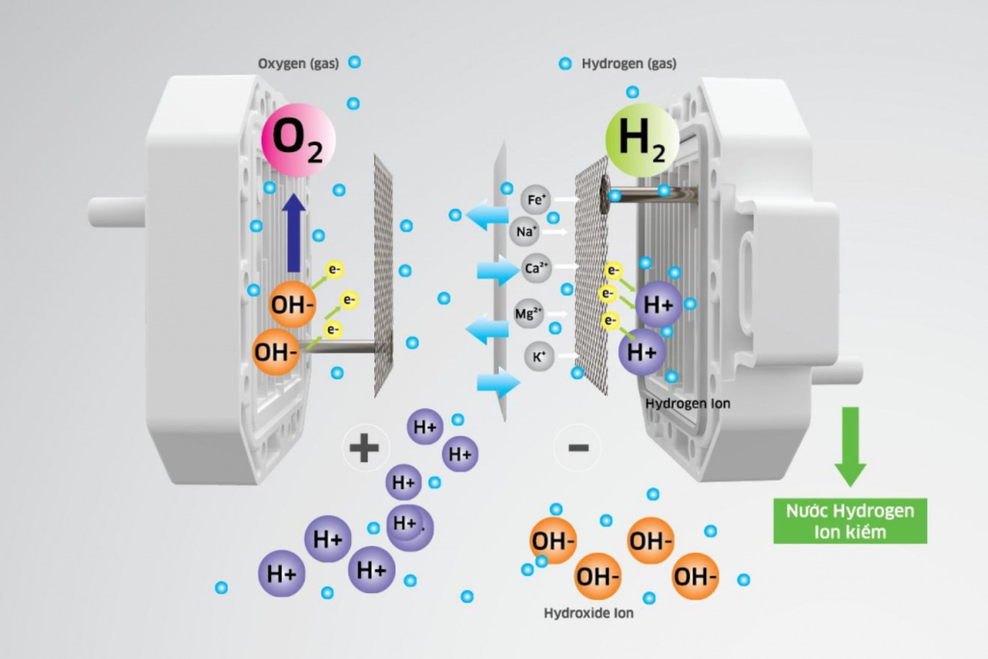  Người tiêu dùng quan tâm nhiều hơn đến máy tạo nước ion kiềm như một giải pháp vừa hiện đại vừa thân thiện với cơ thể.