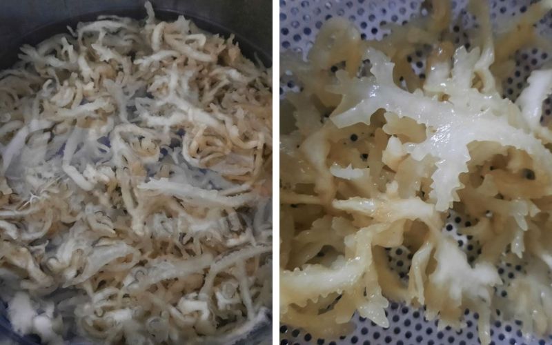  “Lộc trời ban” mọc trên đá, giá 800k/kg vẫn cháy hàng ở Phú Quốc