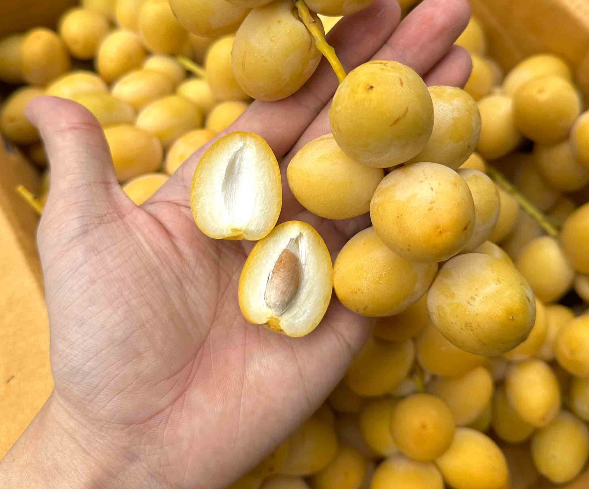 Giá cả: mềm hơn cherry, vừa tầm trải nghiệm