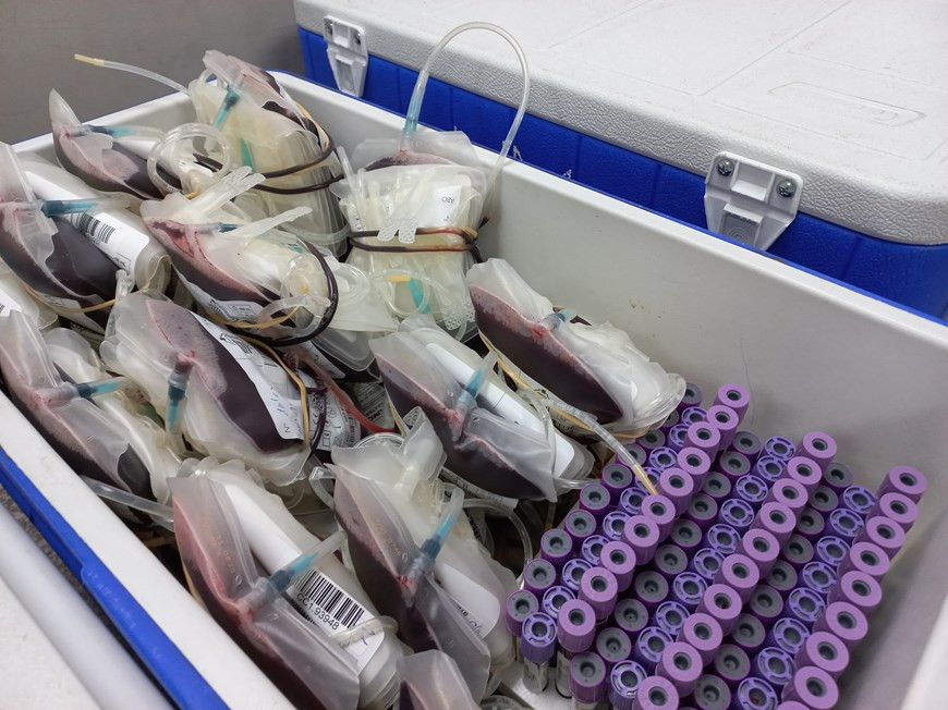 Thực trạng nguồn máu sụt giảm đáng lo ngại