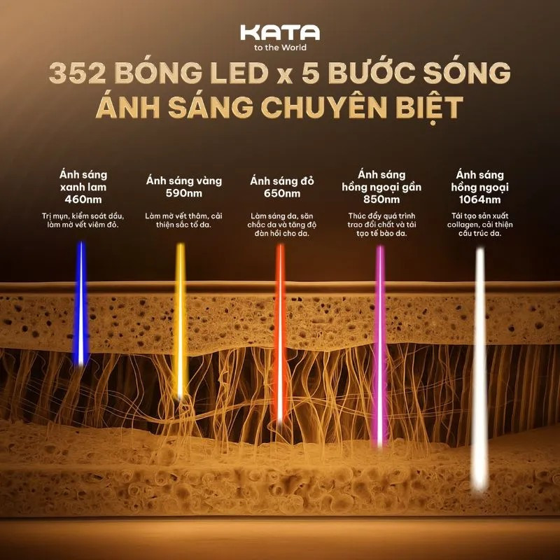 sản phẩm trở thành “thiết bị hai trong một” hiếm có trên thị trường, phù hợp với những người vừa muốn cải thiện làn da, vừa quan tâm đến mái tóc.