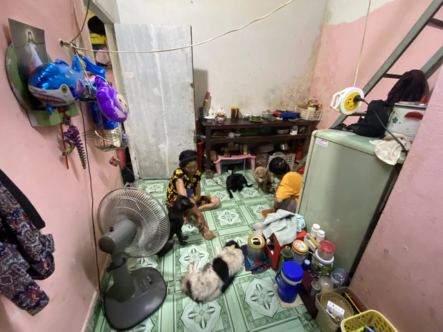 Một mái nhà, năm sinh mệnh