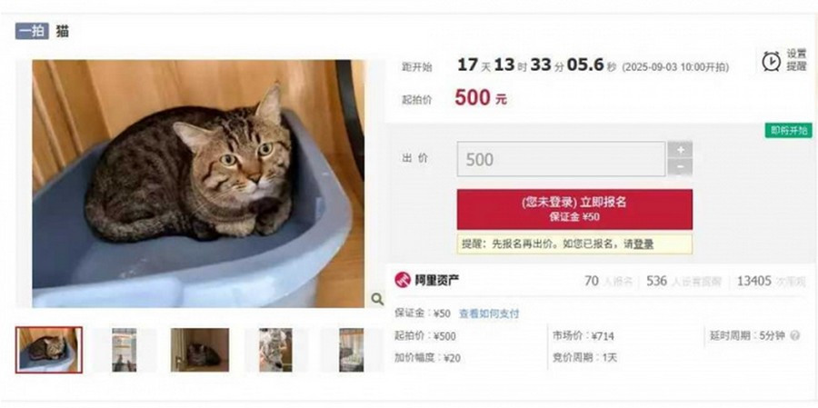 Netizen vừa buồn cười vừa thương