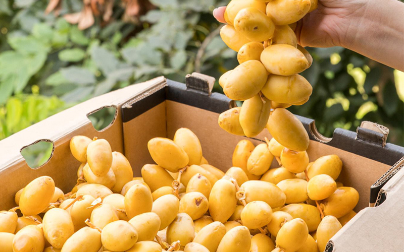 chà là đang dần trở thành lựa chọn mới mẻ trong chế độ ăn lành mạnh.