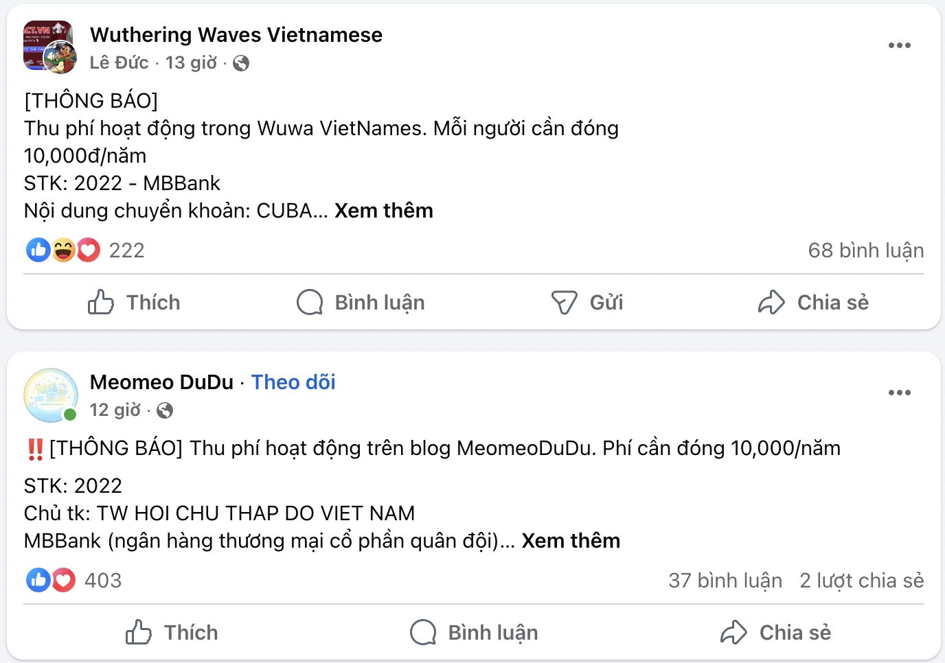 Khi “trend” trở thành cảm hứng sống đẹp