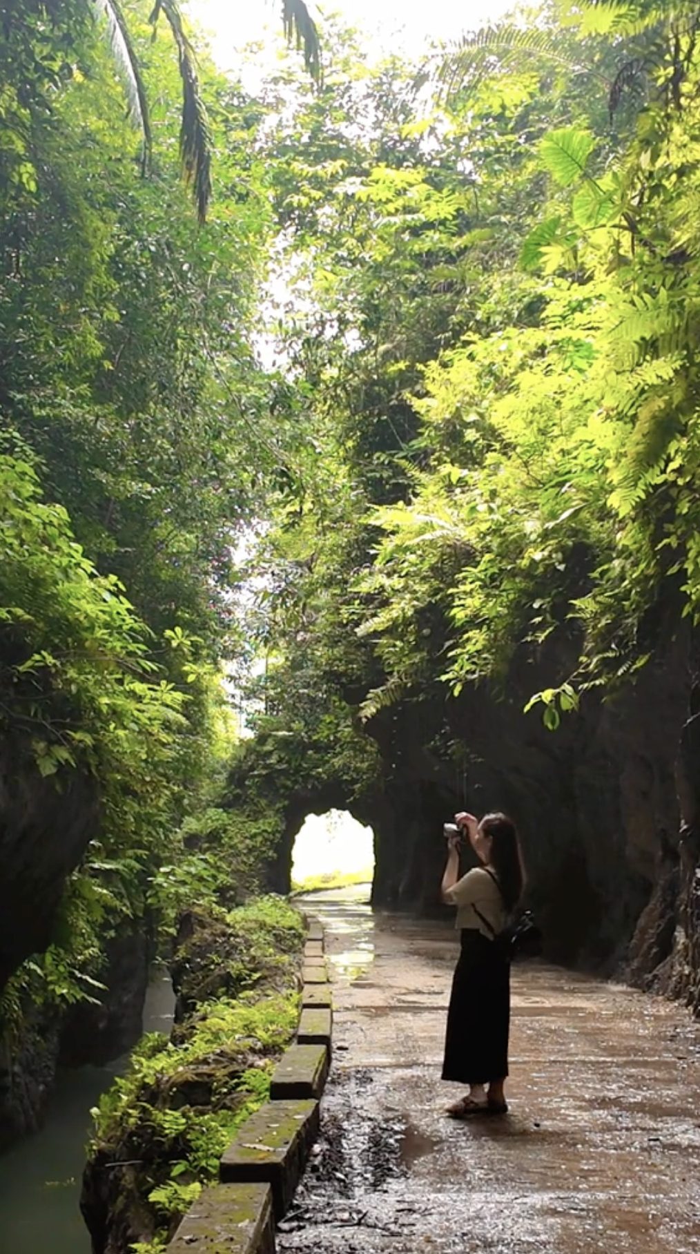  nơi đây giống như một cánh cổng bí mật chỉ dành cho những ai thật sự muốn tìm 