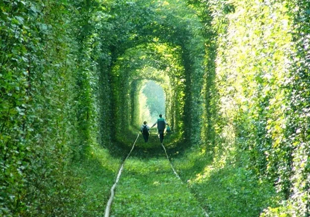 Gợi nhớ đến "đường hầm tình yêu" Ukraine