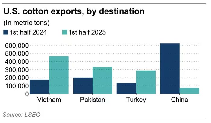 Việt Nam lại bất ngờ trở thành điểm sáng khi lượng nhập khẩu bông từ Mỹ tăng gấp ba lần chỉ trong nửa đầu năm 2025.