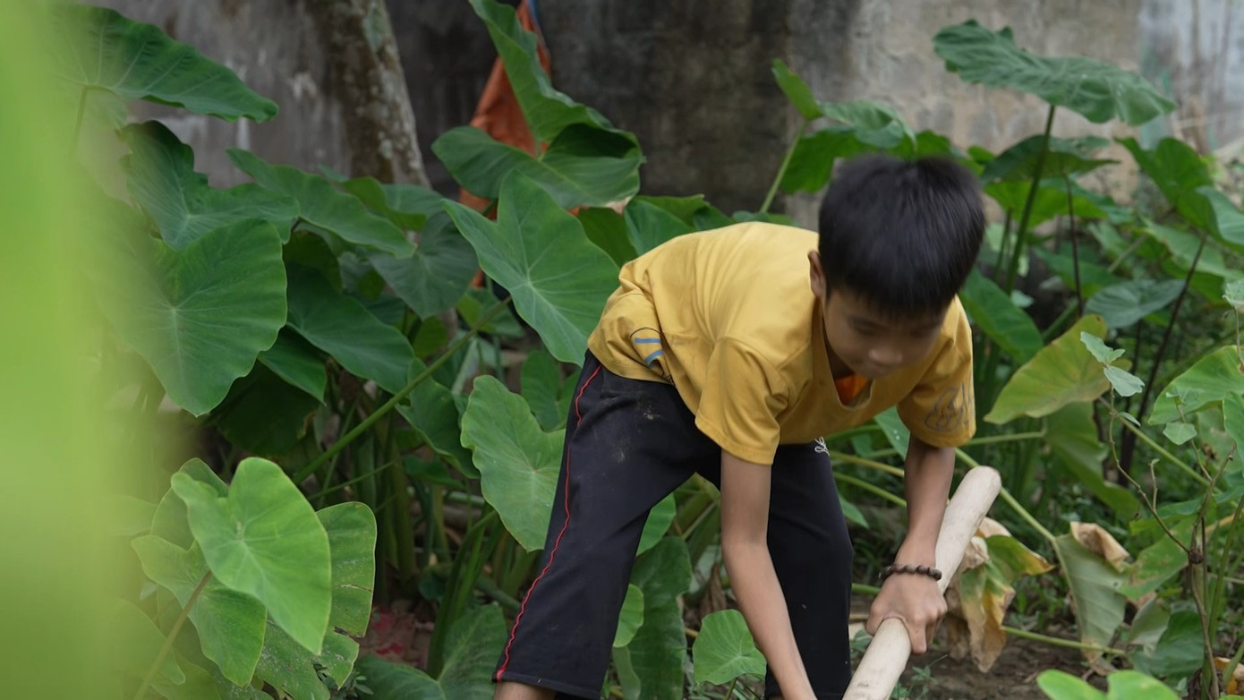 Tuổi thơ thiếu vắng và nghị lực kiên cường