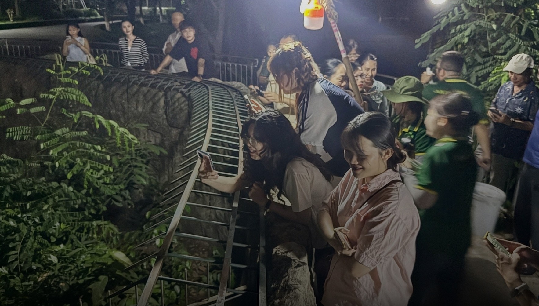  Tour đêm Thảo Cầm Viên chính thức mở rộng sau giai đoạn thử nghiệm