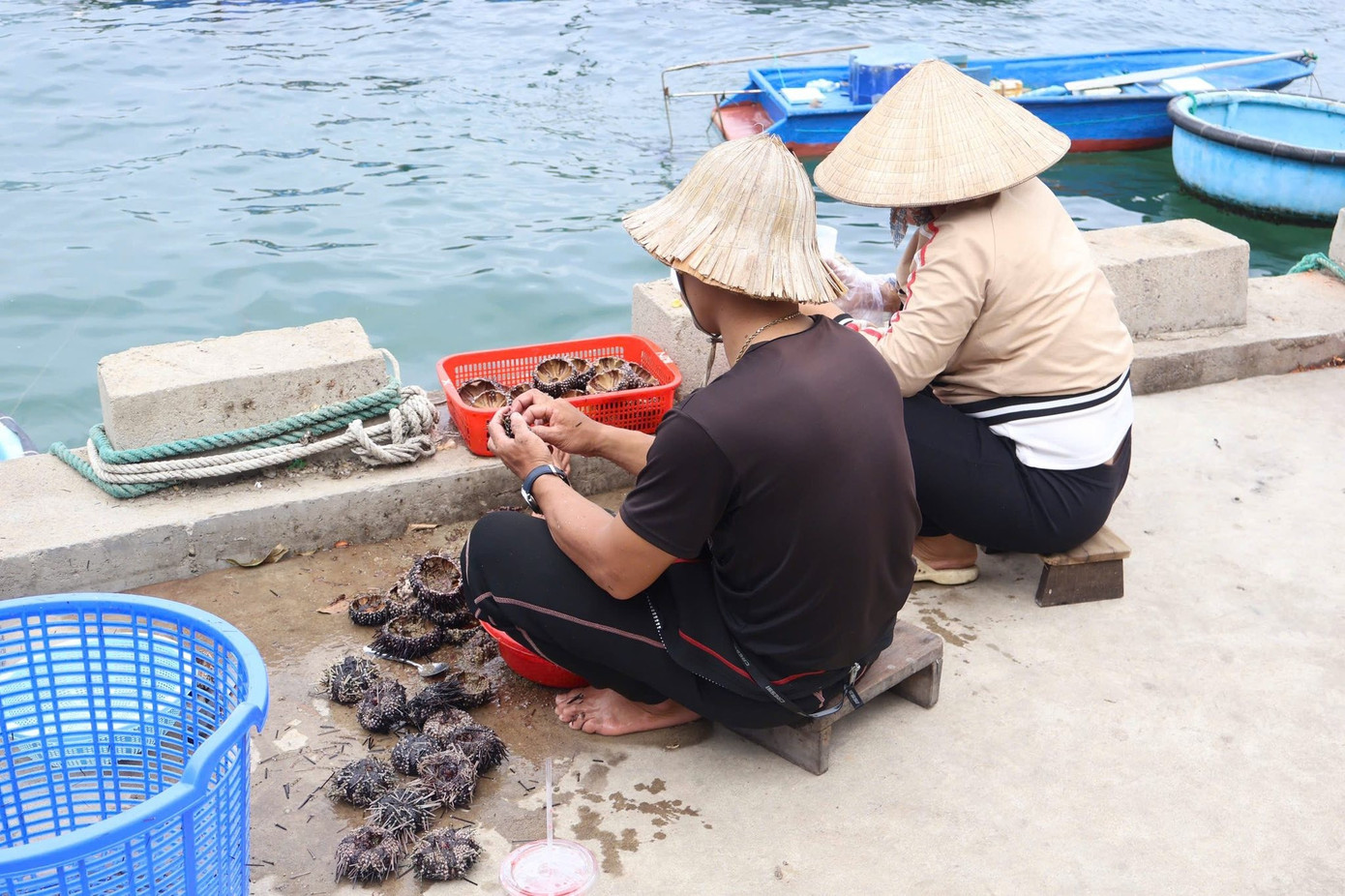 Hải sản ở Trí Nguyên không chỉ tươi ngon mà giá cả còn bình dân, dễ tiếp cận.