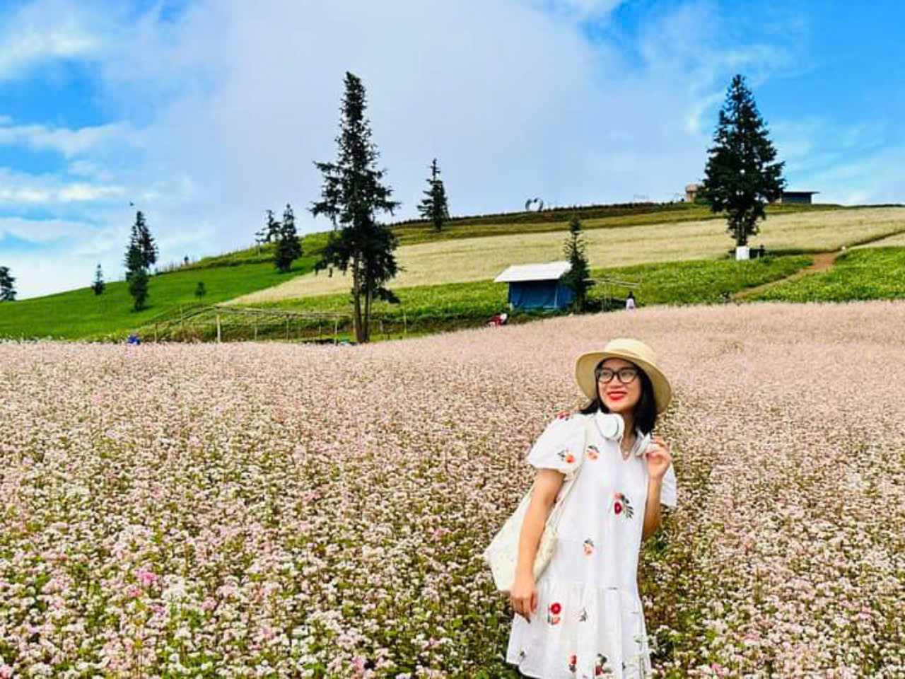 Vẻ đẹp khác biệt trên độ cao 1.200 m