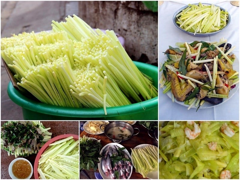 Hương vị dân dã trong món ngon đa dạng