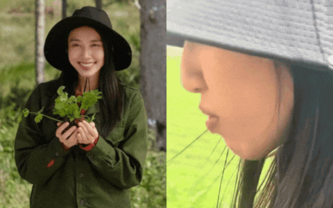 yếu tố “ảo” như nông trại rộng 300 ha đạt chứng nhận VietGAP