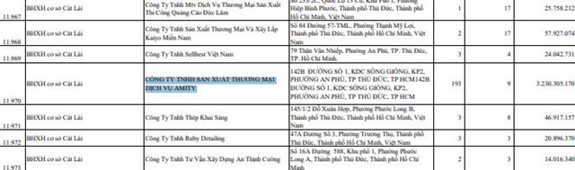 Công ty TNHH Sản xuất Thương mại Dịch vụ Amity nổi bật với số tiền chậm nộp hơn 3,2 tỷ đồng, kéo dài 9 tháng, dù doanh nghiệp này mới đổi tên hồi tháng 4/2025.