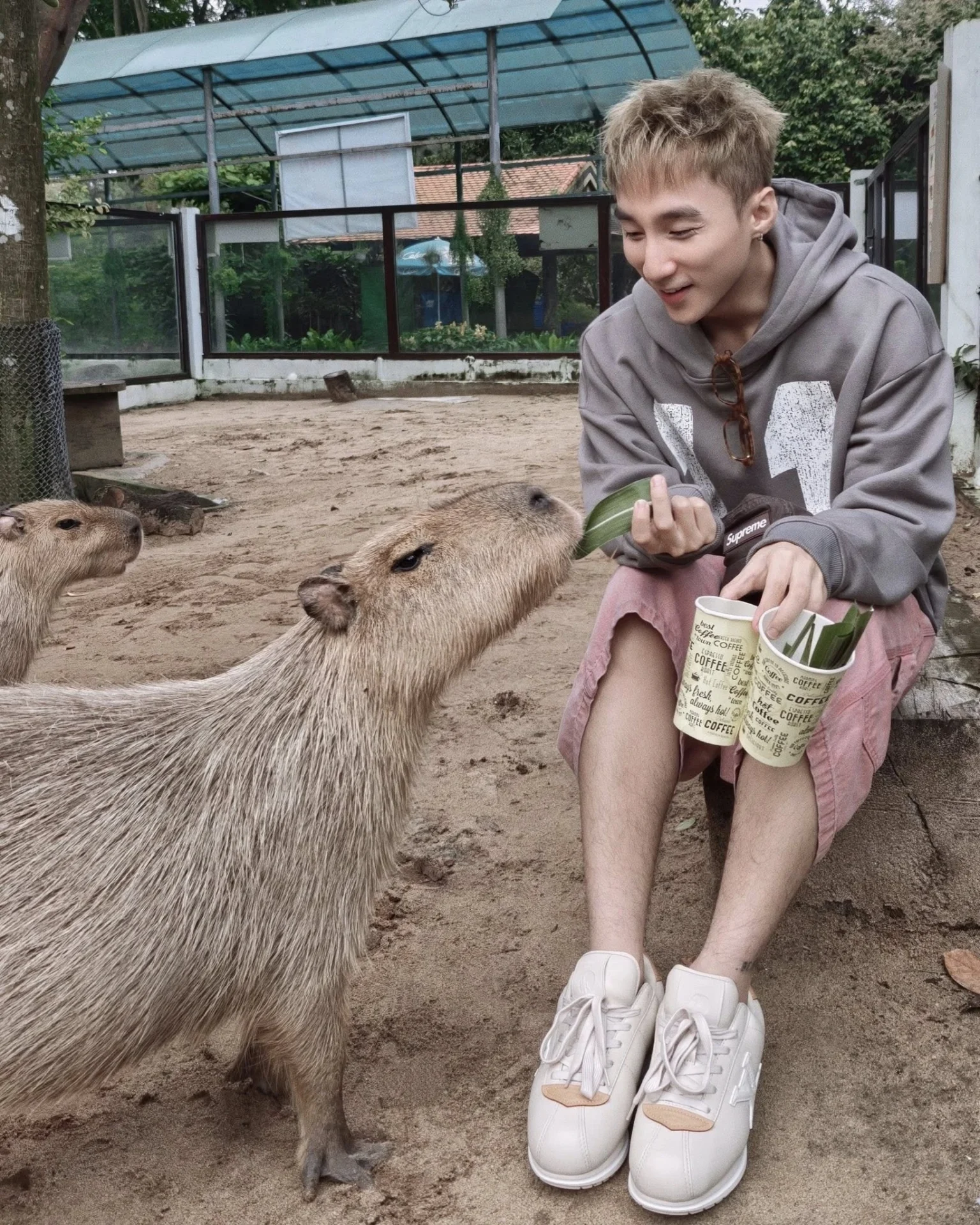 Rất nhiều người hâm mộ để lại bình luận bày tỏ cảm xúc đồng cảm, thích thú trước sự giản dị, chân thật của nam ca sĩ.