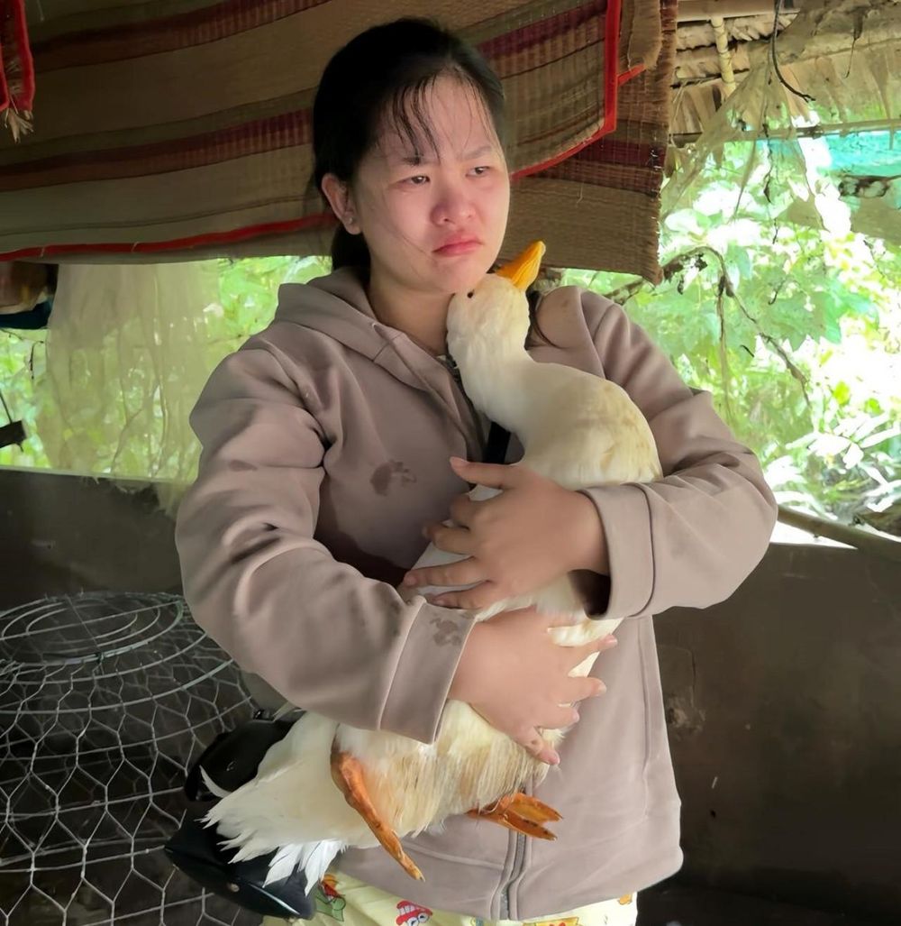  “Ngôi sao mạng” lông trắng Bim Bim qua đời, cô chủ bật khóc: “Nhờ em mà gia đình tôi đổi đời”